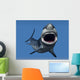 Great White Shark