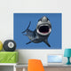 Great White Shark
