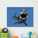 Great White Shark
