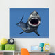 Great White Shark