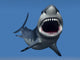 Great White Shark