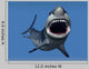 Great White Shark