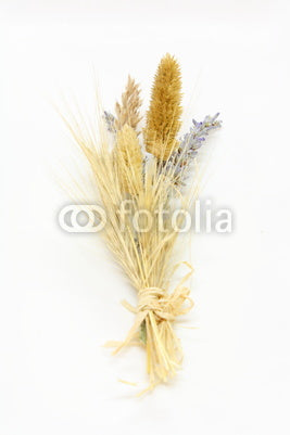Mazzolino Di Fiori Secchi Wall Decal