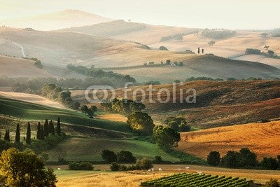 Italian countryside in Tuscany Wall Mural