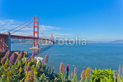 Golden Gate Bridge Wall Mural