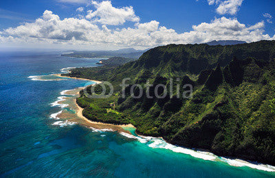 Aerial View of Kauai Coast Wall Mural