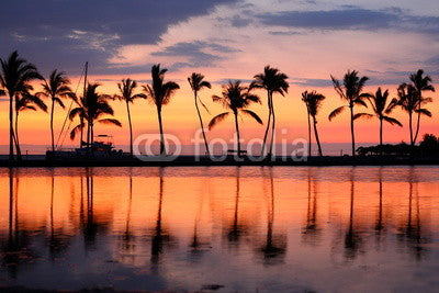 Paradise beach sunset tropical palm trees Wall Mural