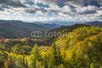 Smoky Mountains Wall Mural