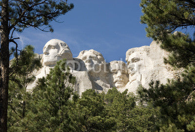 Mount Rushmore National Monument framed by trees. Wall Mural