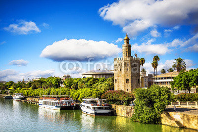 Golden tower (Torre del Oro), Andalusia, Seville. Wall Mural