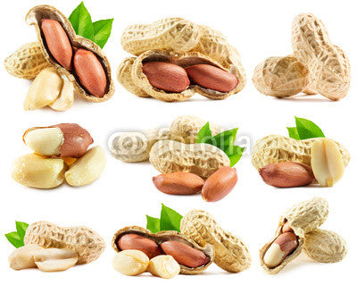 Set Peanuts White Wall Stickers Wall Decal