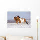 Pinto Horses Winter