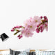 Japanese Cherry Wall Decal