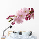 Japanese Cherry Wall Decal