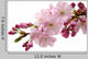 Japanese Cherry Wall Decal