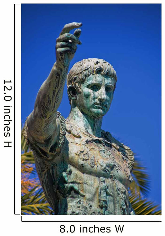 Augustus Caesar Wall Mural