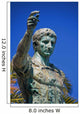 Augustus Caesar Wall Mural