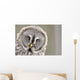 Great Grey Owl Portrait Wall Decal