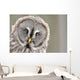 Great Grey Owl Portrait Wall Decal
