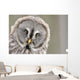 Great Grey Owl Portrait Wall Decal