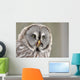 Screeching Great Grey Owl Portrait Wall Decal