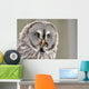 Screeching Great Grey Owl Portrait Wall Decal