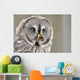 Screeching Great Grey Owl Portrait Wall Decal