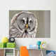 Screeching Great Grey Owl Portrait Wall Decal