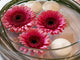 Table Decoration