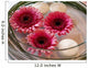 Table Decoration