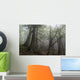 Misty forrest Wall Mural