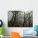 Misty forrest Wall Mural