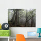Misty forrest Wall Mural
