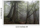 Misty forrest Wall Mural