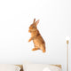 Rabbit Wall Decal