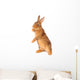 Rabbit Wall Decal