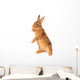 Rabbit Wall Decal