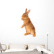 Rabbit Wall Decal