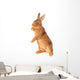 Rabbit Wall Decal