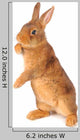 Rabbit Wall Decal