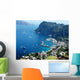 Scorcio Di Capri Wall Decal