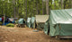 Boy Scout Campground Wall Mural