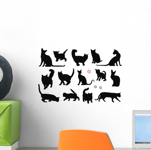 Cats