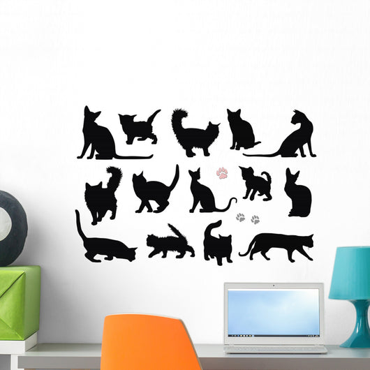 Cats