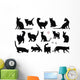 Cats