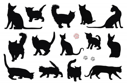 Cats