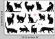 Cats