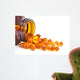 Fish Oil Bottle and