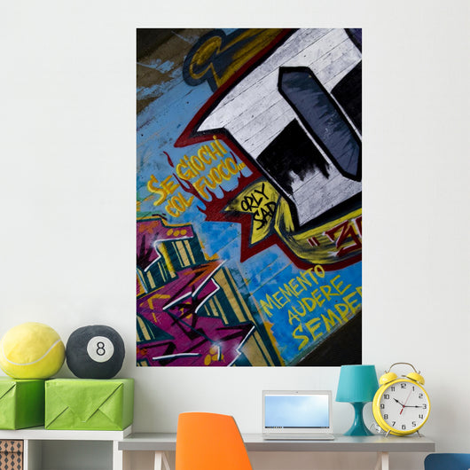 Graffiti - Murals Wall Mural