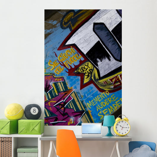 Graffiti - Murals Wall Mural